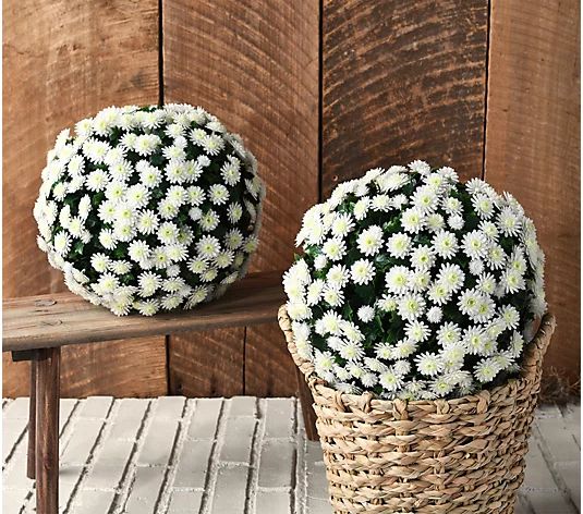 Wicker Park Set of (2) 12" Faux Mum Indoor/Outdoor Garden Spheres - QVC.com | QVC