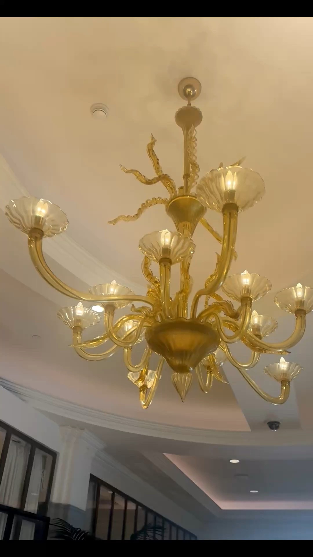 A modernized classic chandelier that instantly elevates any space with a touch of sophistication. The kind of statement lighting that transforms the entire mood. Memorial Day Sale is the perfect time to refresh your lighting. #chandelier #statementlighting #lightingdesign #homedecor #interiordesign #classicmodern #modernclassic #diningroomlighting #entrywaylighting #luxuryhome #homerefresh #ltkhome #MemorialDaySale

#LTKdayinmylife #LTKHome #LTKPlusSize