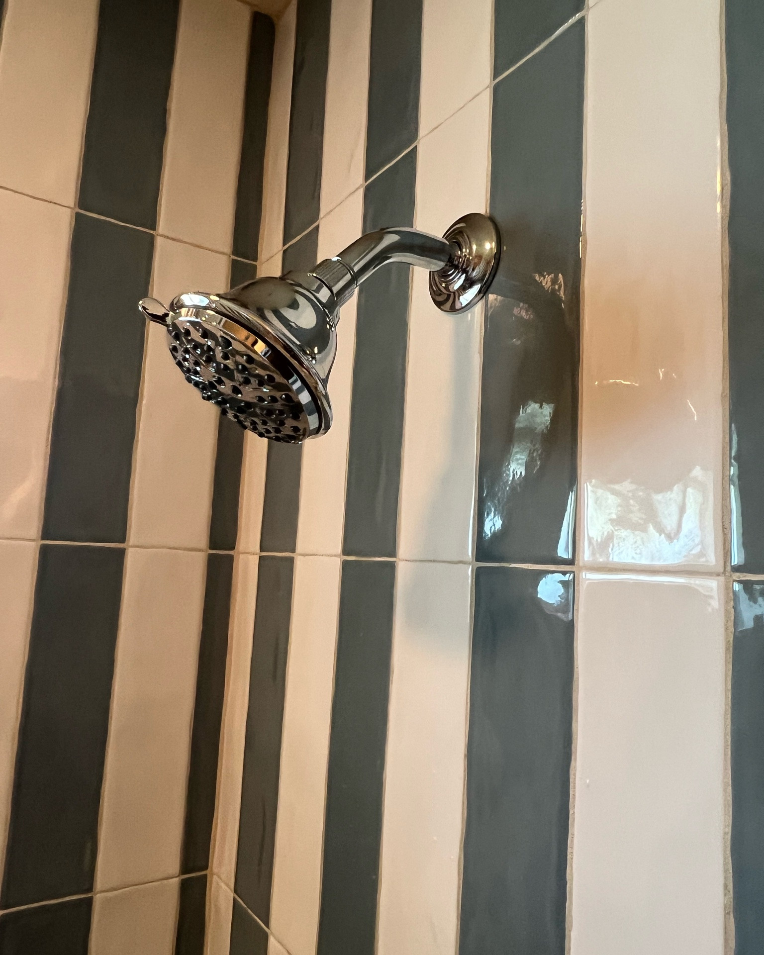 Shower fixture
Bathroom
Silver
Shower head
Remodel

#LTKHome