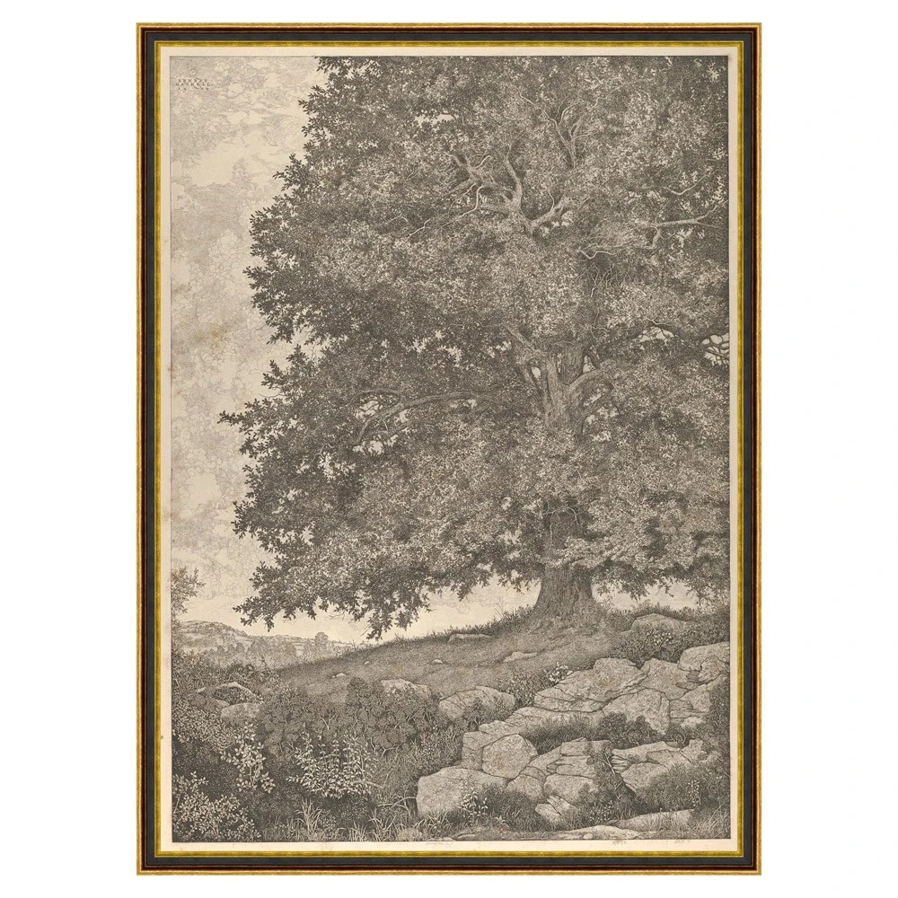 Raphael Updated Traditional Grey Landscape Black Frame Illustration - 53x39 | Kathy Kuo Home