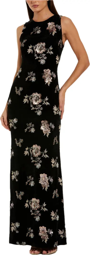 Embellished Velvet High Neck Sleeveless Gown | Nordstrom