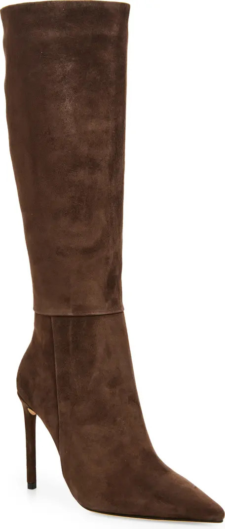 Apollo Pointed Toe Knee High Boot (Women) | Nordstrom