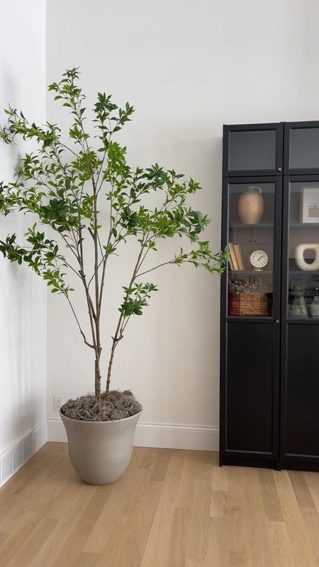 Shop this extra tall tree in our living room

#LTKhome