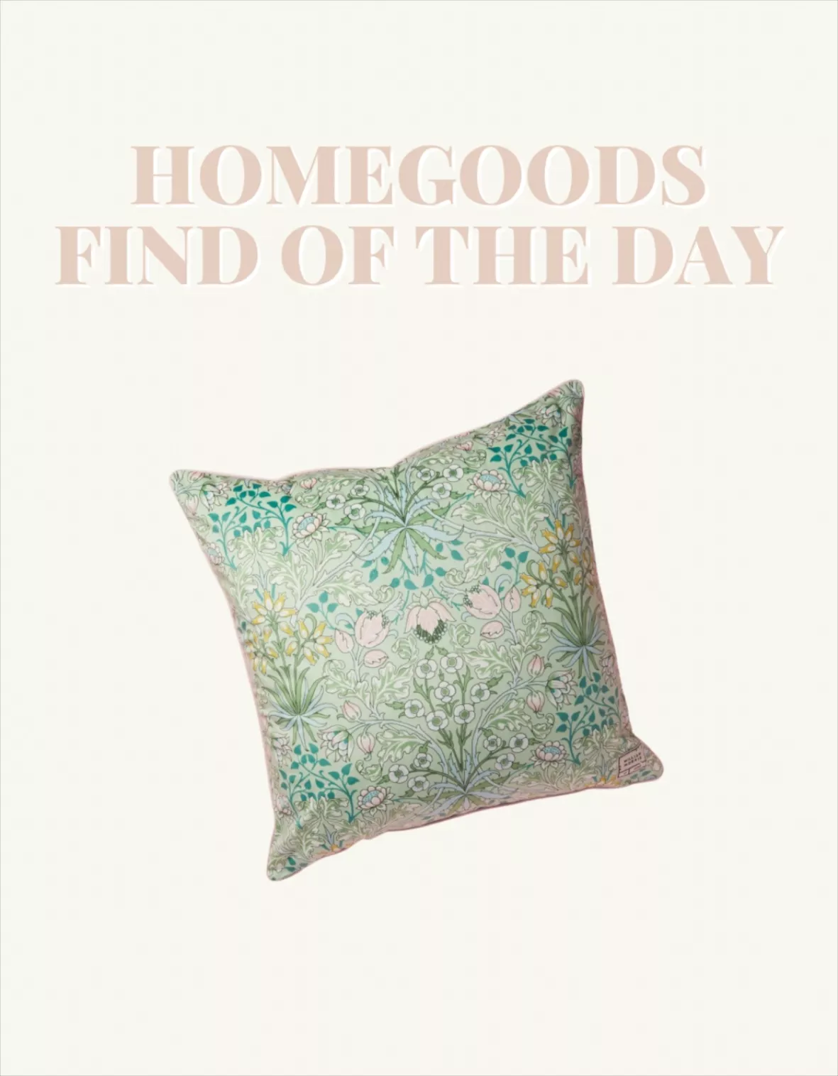 Everywhere Velvet Pillows curated on LTK