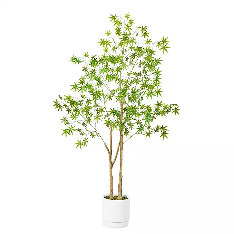 Green Maple Tree in White Planter | Kirklands