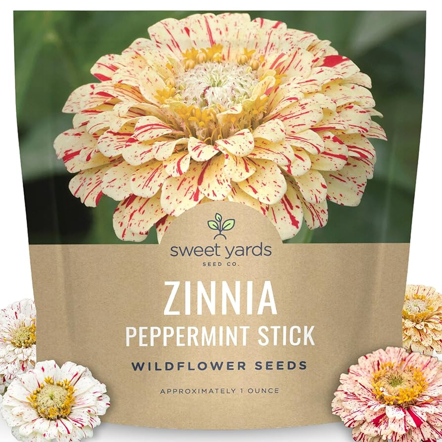 Zinnia Peppermint Stick - Large 1 Ounce Packet - 4,000 Flower Seeds for Planting - Zinnia elegans | Amazon (US)