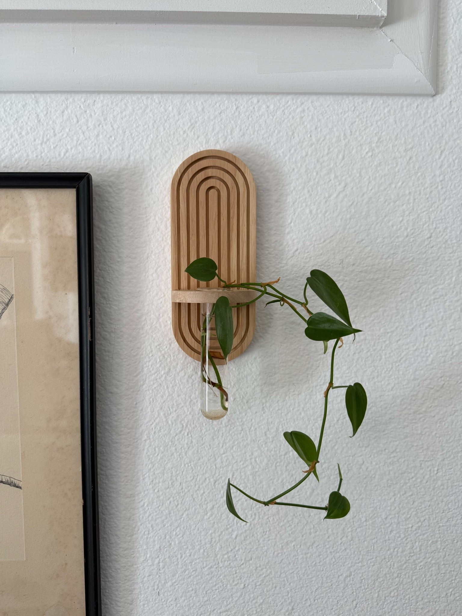 New hanging wall propagation vases!

#LTKHome
