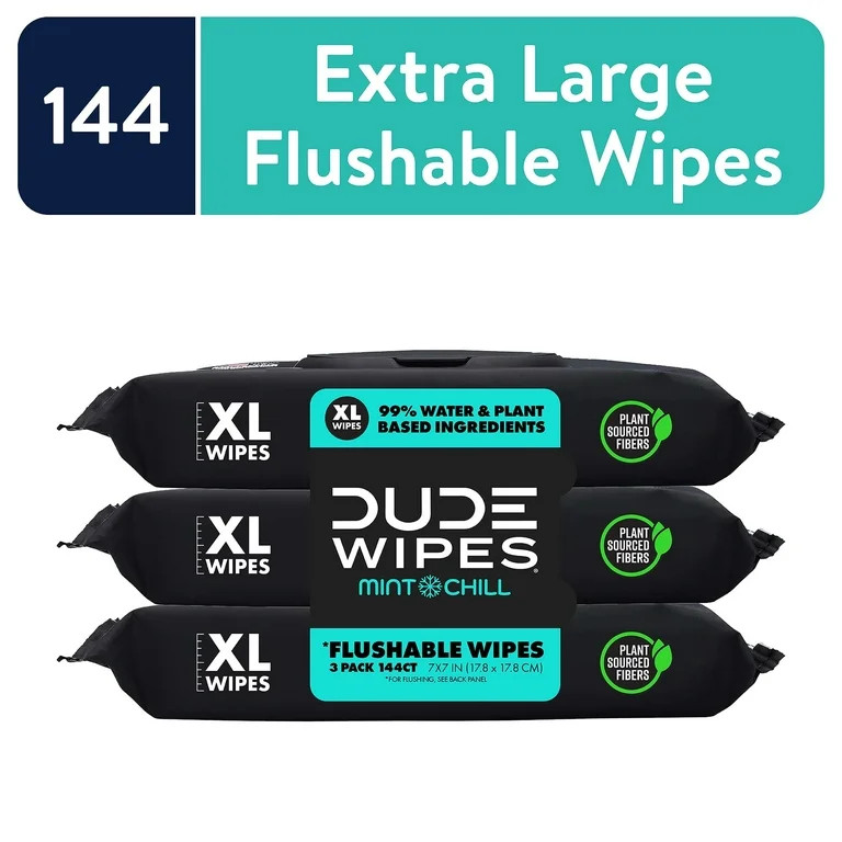 DUDE Flushable Wipes, Extra Large Mint Chill Wet Wipes, 48 Count, 3 Pack (144 Total) | Walmart (US)