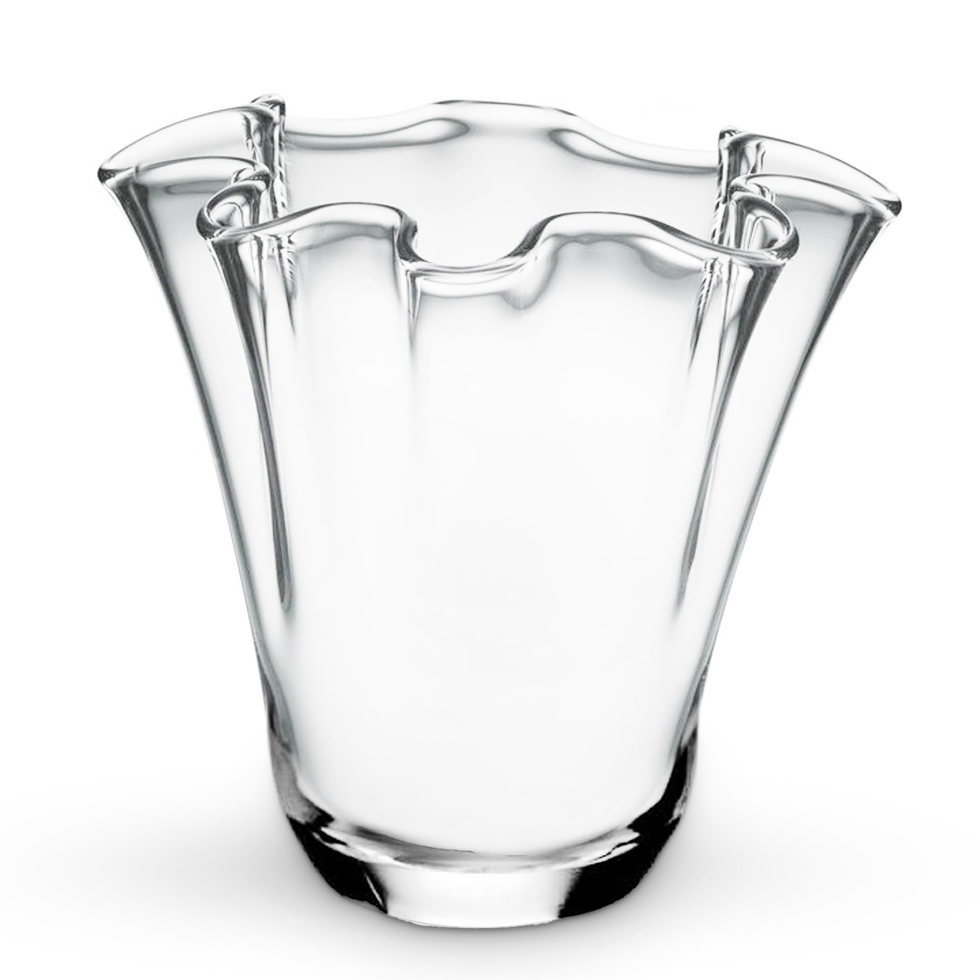 CYS EXCEL Clear Glass 3D Flower with Ruffle Rim Wavy Bouquet Trumpet Vase Unique Modern Home Déc... | Amazon (US)