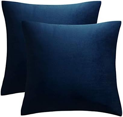JUSPURBET Pack of 2,Velvet Decorative Throw Pillows Covers Cases for Couch Bed Sofa,Soild Color S... | Amazon (US)