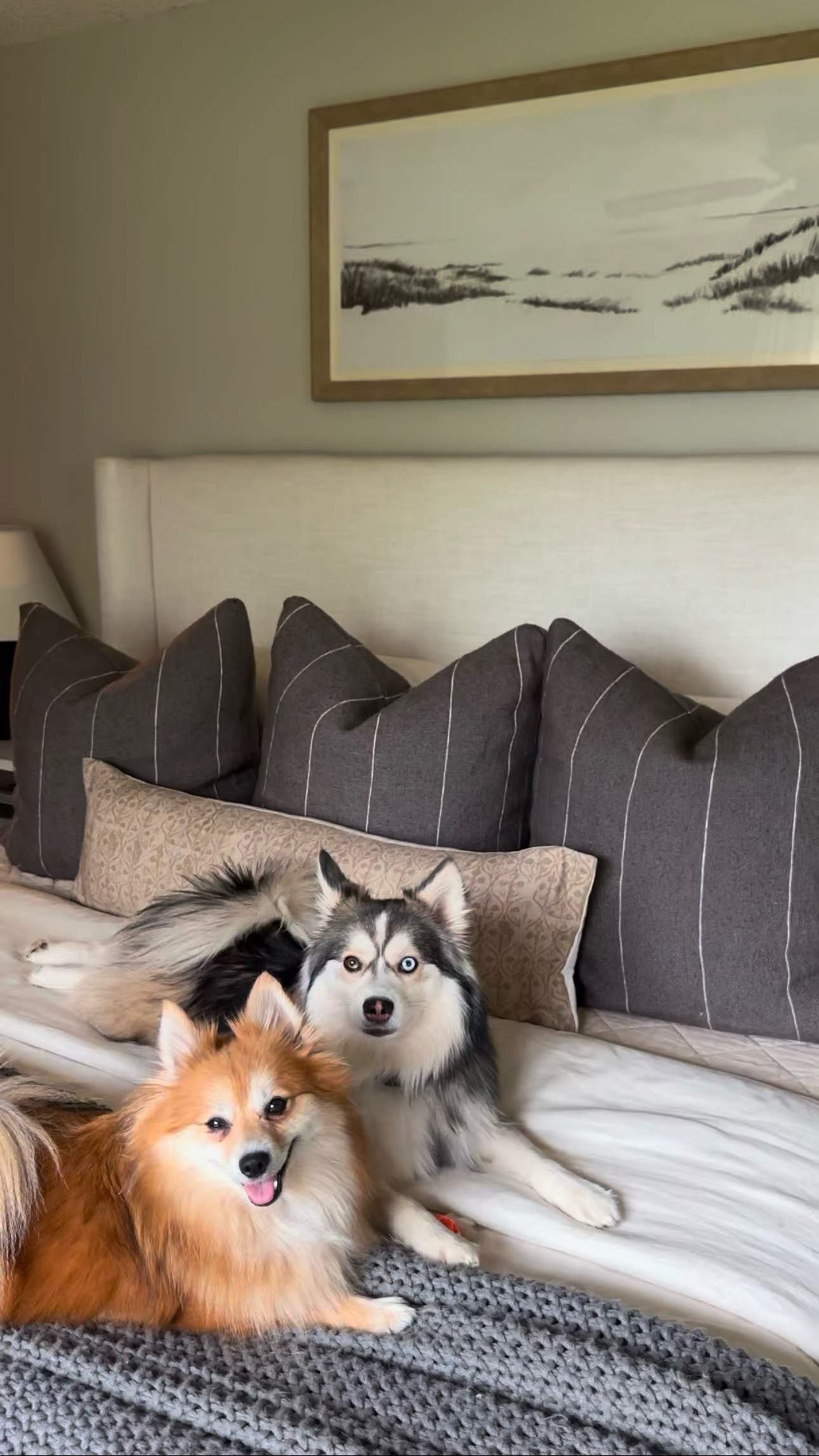 One Quince linen bedding 🤍 use code INFG-25KAYLEEOLDENBURG10 for 10% off 🕊️

#LTKSummerEdit #LTKHome #LTKSaleAlert