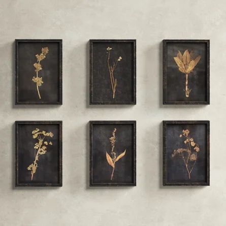 Birch Lane™ Sprig - 6 Piece Picture Frame Photograph Print Set on Wood | Wayfair North America