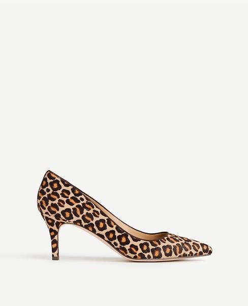 Eryn Leopard Print Haircalf Pumps | Ann Taylor (US)