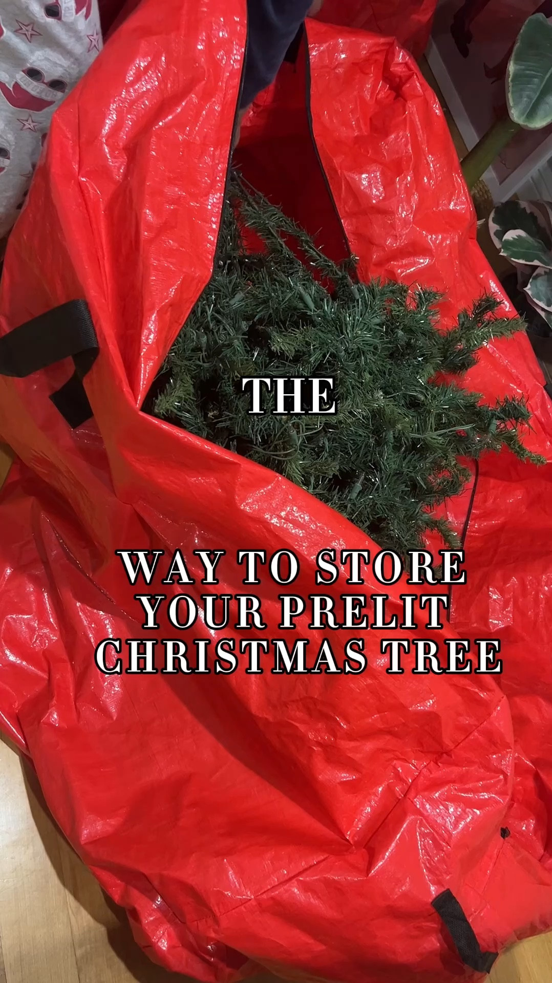 We used to just steer each piece into garbage bags! These Christmas Tree storage bags have made it so much easier to put away after the holidays, and bring back out gear after year! 

Christmas decoration storage solutions, ornament storage ideas, best Christmas tree bag, holiday decor storage tips, artificial tree storage options, Christmas lights storage hacks, efficient holiday storage, family-friendly storage solutions, eco-friendly ornament storage, Christmas tree storage bag review, holiday storage organization, compact Christmas tree storage, durable holiday decoration storage, easy ornament storage, space-saving Christmas storage


#LTKSeasonal #LTKHome #LTKHoliday