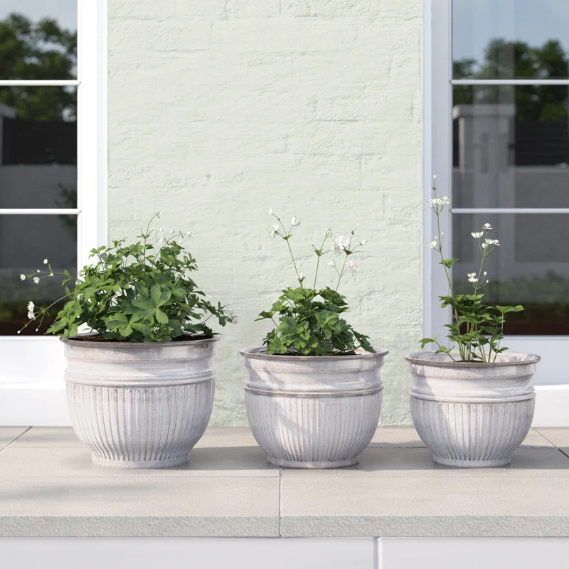 Lapis Metal Pot Planter | Wayfair North America