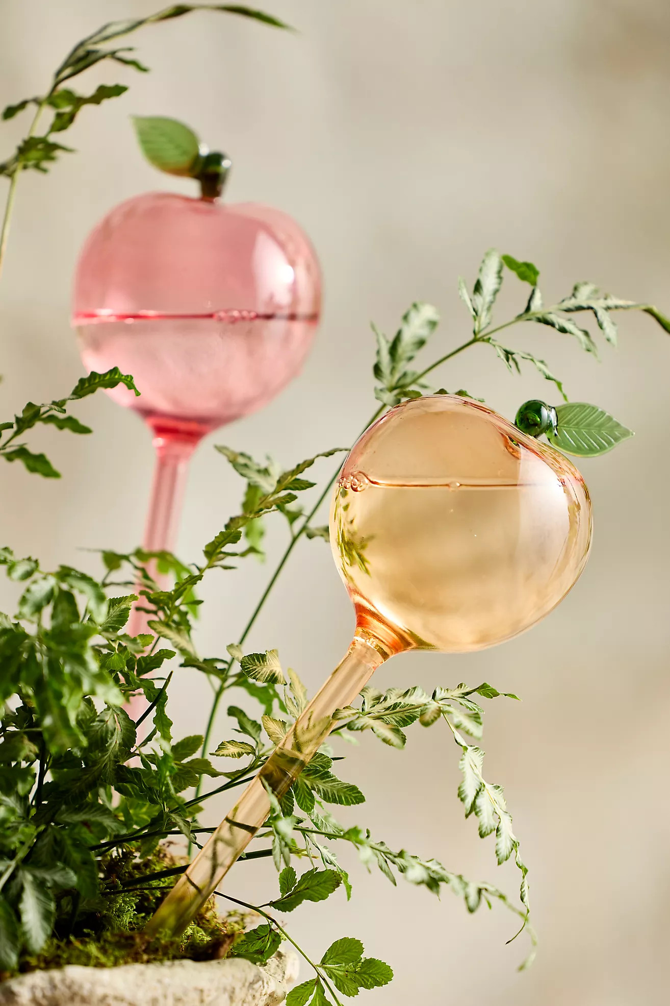 Peach Watering Globes, Set of 2 | Terrain