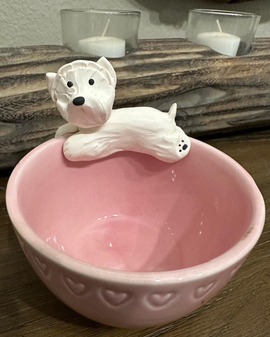 Think ahead for Valentine’s Day.. how sweet are these Westie candy dishes. Mug available too.
Fill them with my favorite heart shaped jelly beans. 

#LTKHome #LTKHoliday #LTKSeasonal