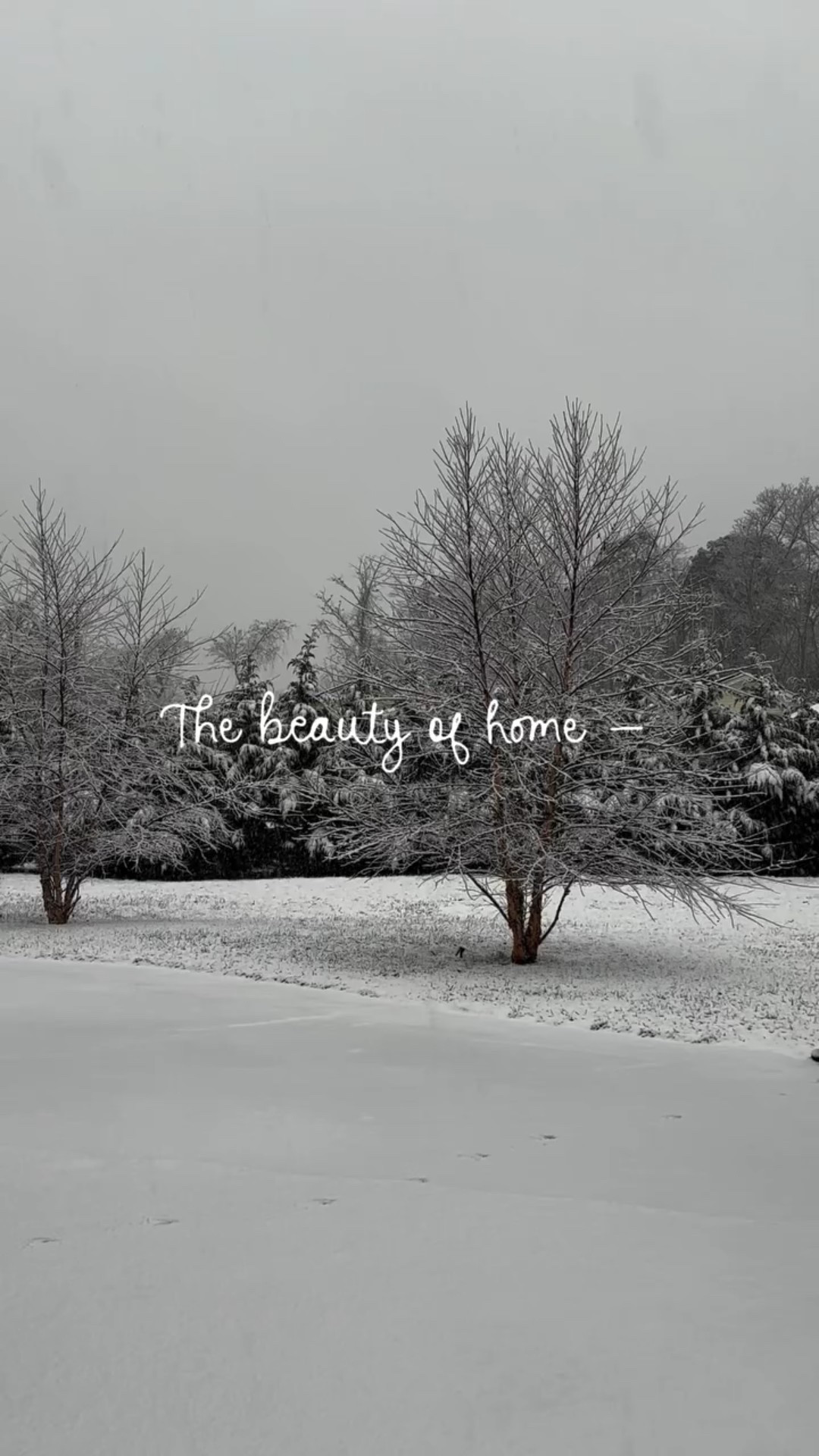 Outdoor Christmas decorations ❤️

#LTKSeasonal #LTKHome #LTKHoliday