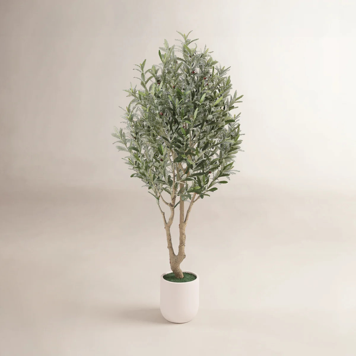 Ashwell Artificial Olive Tree with White Pot | Wayfair North America