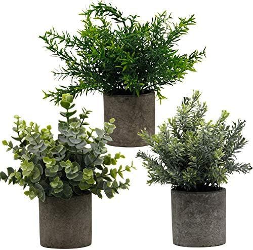 Zcaukya Small Potted Artificial Plants, Artificial Eucalyptus Plants Fake Rosemary 9.5" Plastic Gree | Amazon (US)