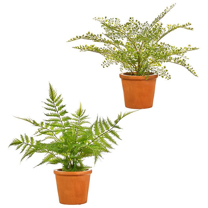 16" Potted Fern - 2 Styles | The Nested Fig