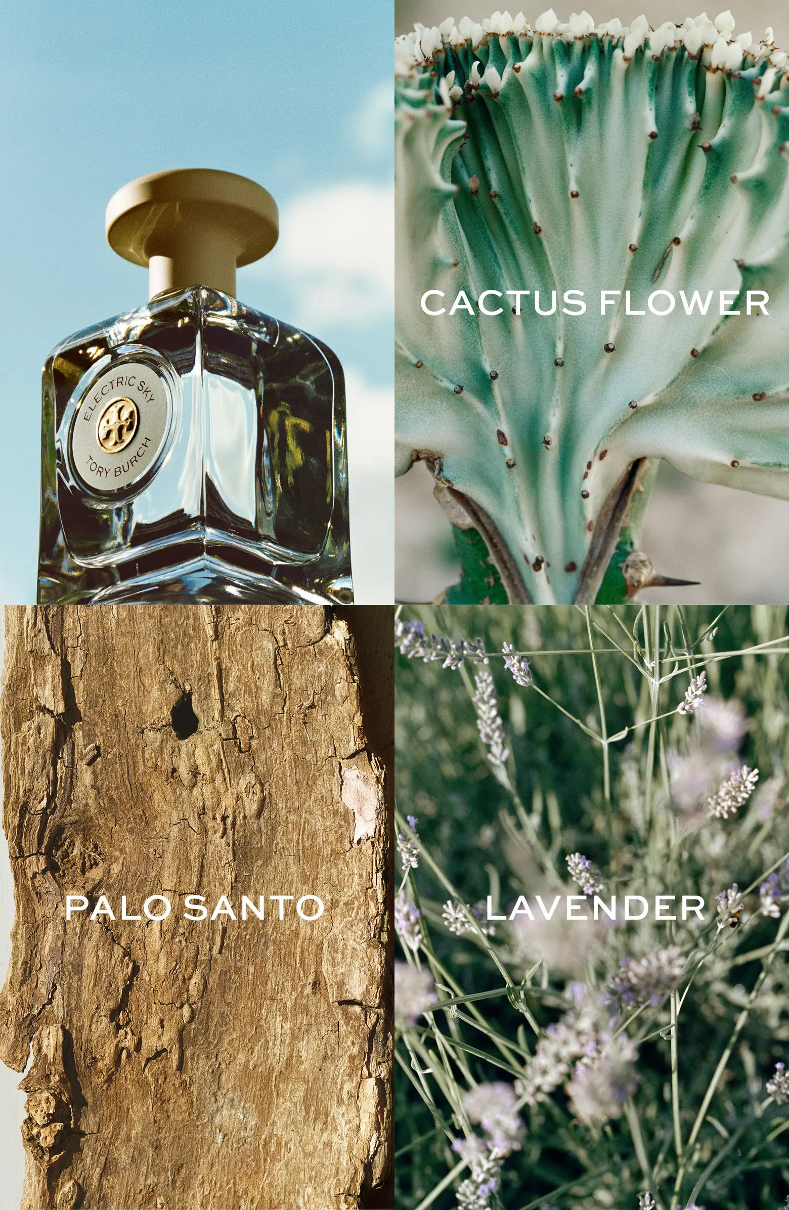 Tory Burch Essence of Dreams Fragrance Discovery Set | Nordstrom | Nordstrom