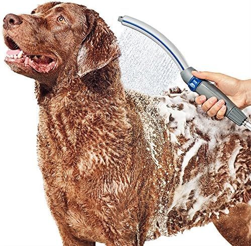 Waterpik PPR-252 Pet Wand Pro Shower Sprayer Attachment, 2.5 GPM, for Fast and Easy at Home Dog C... | Amazon (US)