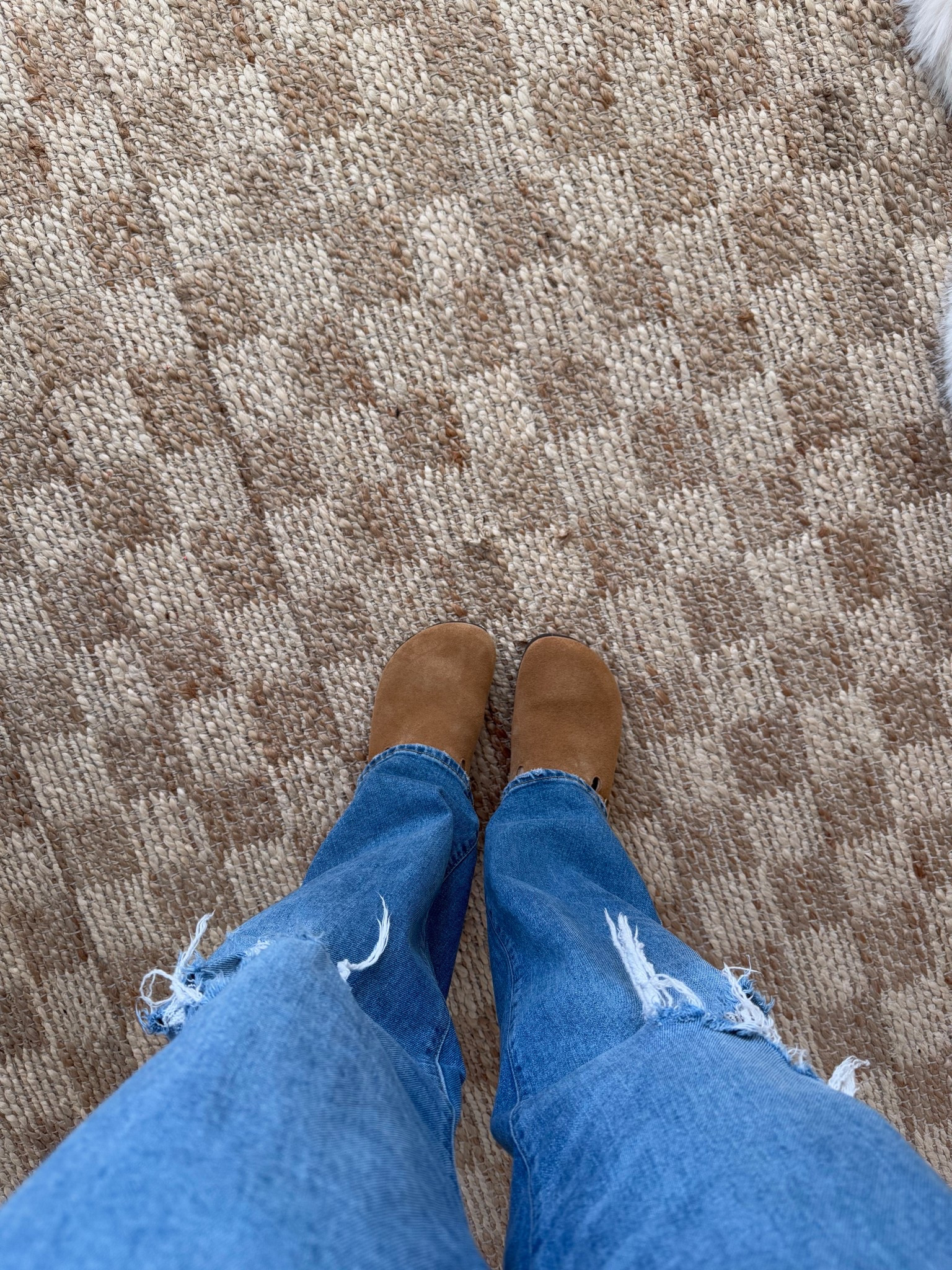 Favorite knockoffs! These dupe –style mules are UNDER $40 😍 Come in multiple colors — totally obsessed!

birkenstockstyle #summerfootwear #affordablefashion #under40 #budgetfinds #styleonabudget #walmartfinds #amazonfinds #shoeobsessed #everydaystyle #neutralfashion #ltkstyle #ltkfashion #shopthelook #summerstyle #comfyshoes #musthave #trendalert

#LTKFindsUnder50 #LTKFindsUnder100 #LTKSaleAlert