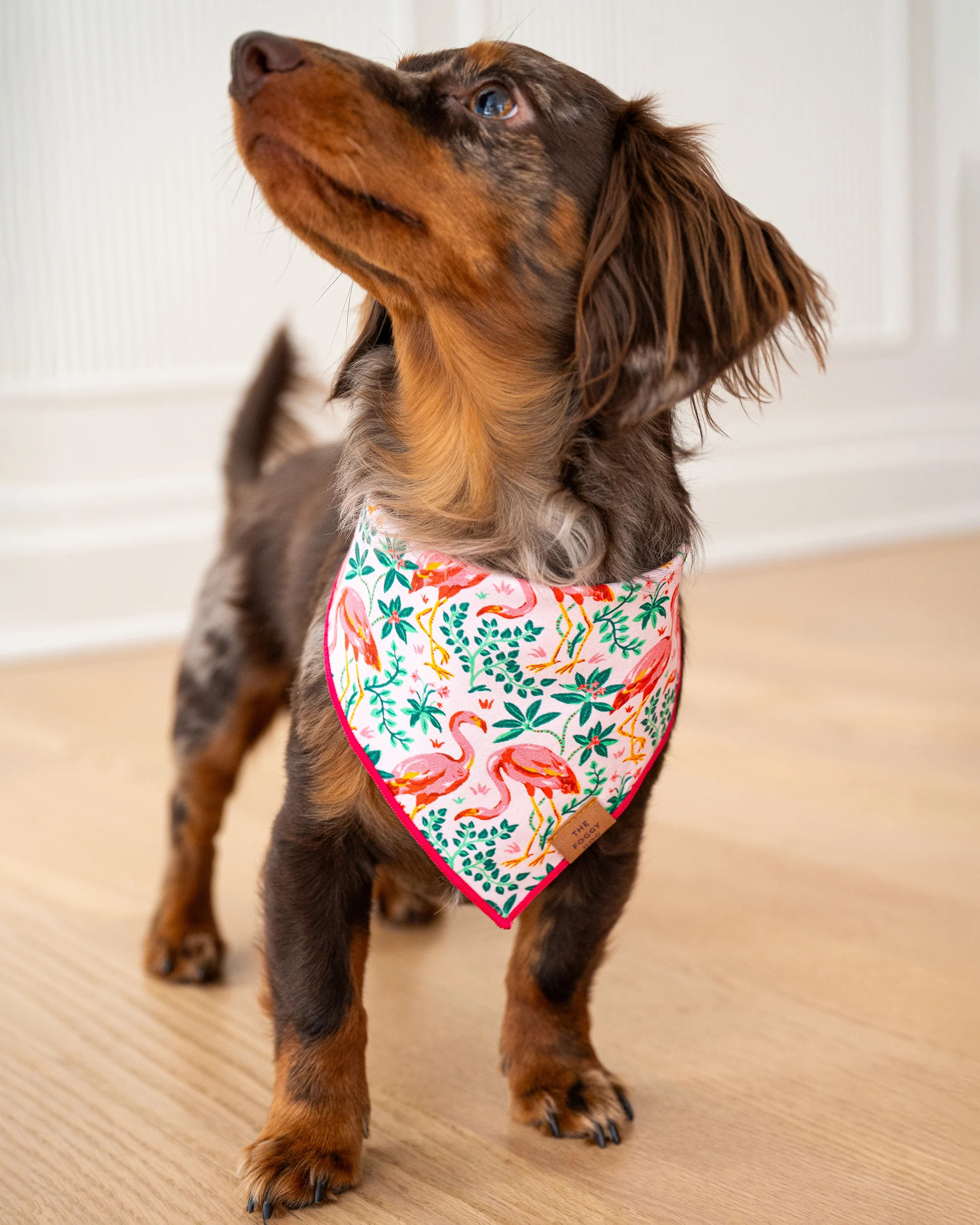 PF x The Foggy Dog Sweet Bee - Dog Bandana - Soft Blue | Printfresh