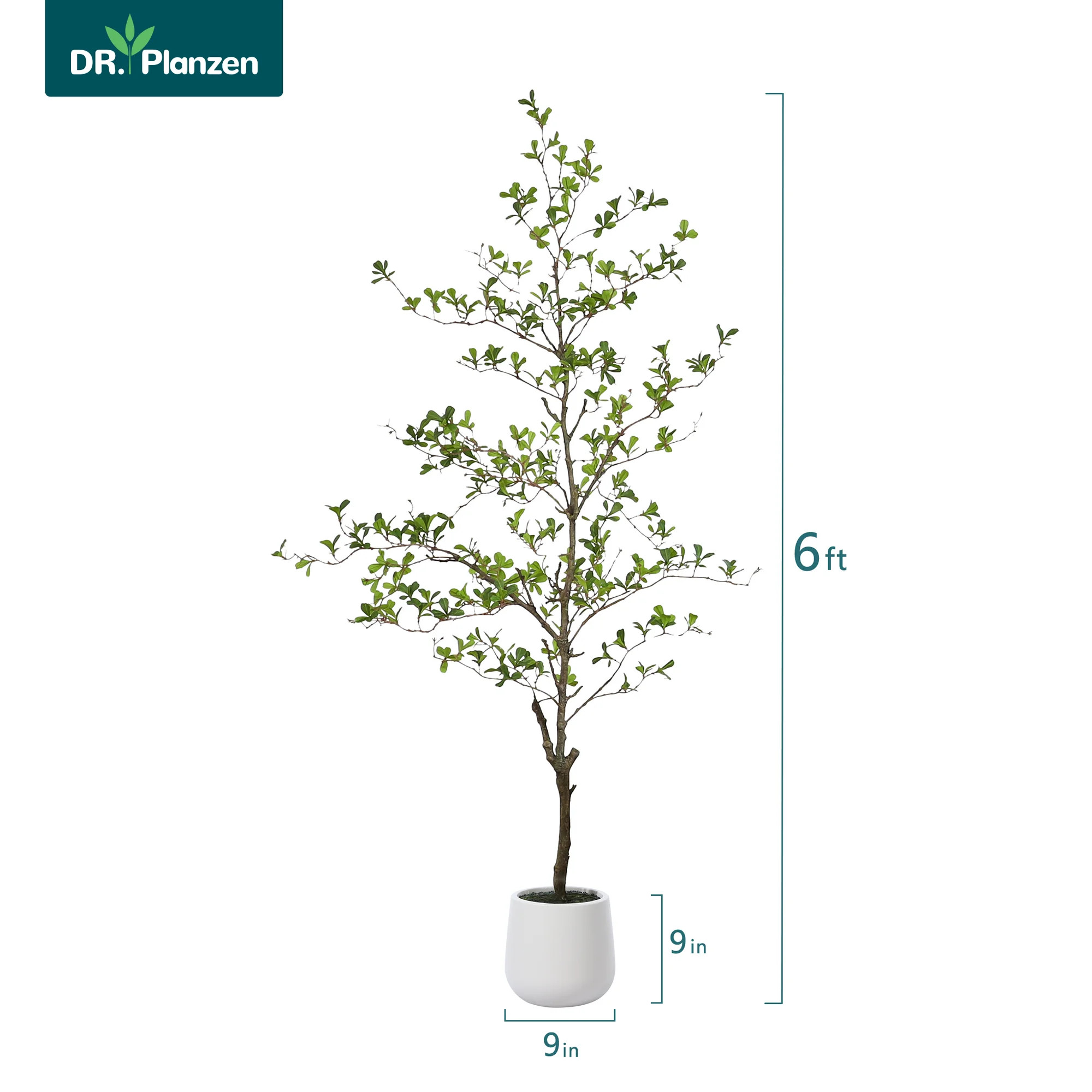 6ft Artificial Black Olive Tree with 9 inch White Planter, Tall Fake Shady Lady Tree for Indoor H... | Walmart (US)