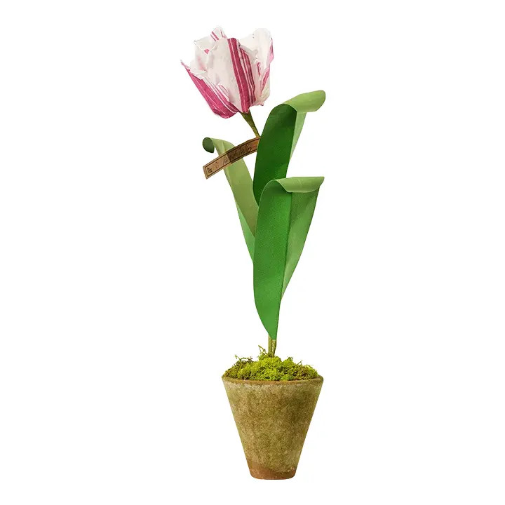 The Green Vase x Chairish Mini Tulip Plant in White with Purple Stripe | Chairish