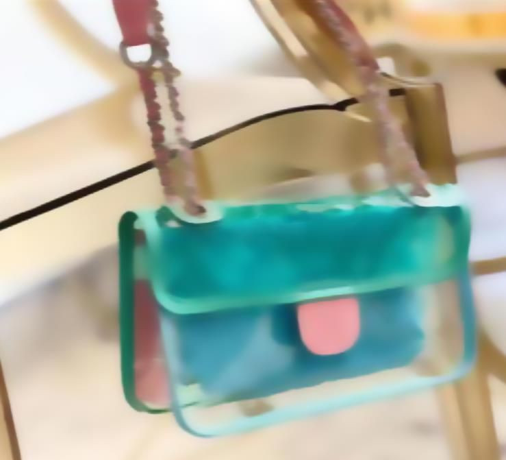 Designer  2021 Spring/Summer Bag Small Size Jelly PVC Transparent Chain Fashion Style 25*11*8 Fro... | DHGate