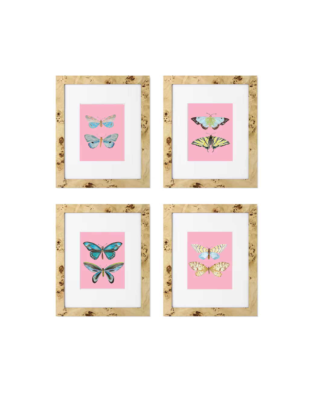 Set of Four Butterfly Pair Prints Watercolor Butterflies Preppy Wall Decor Preppy Dorm Decor Girl... | Etsy (US)