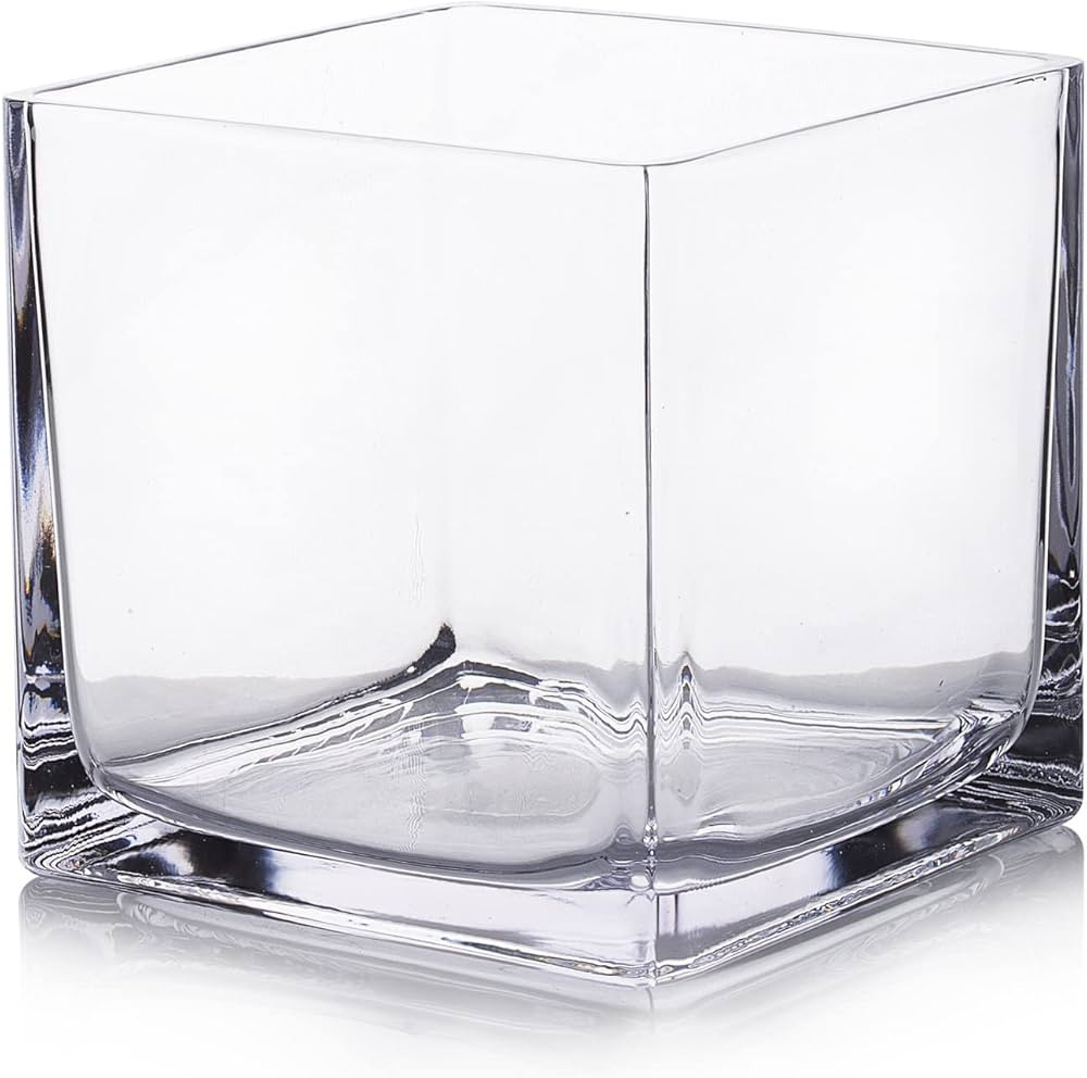 EnovaFloral Cube Glass Vase, 5x5 Inch Glass Vase for Flowers Planter, Clear Square Glass Vases, F... | Amazon (US)