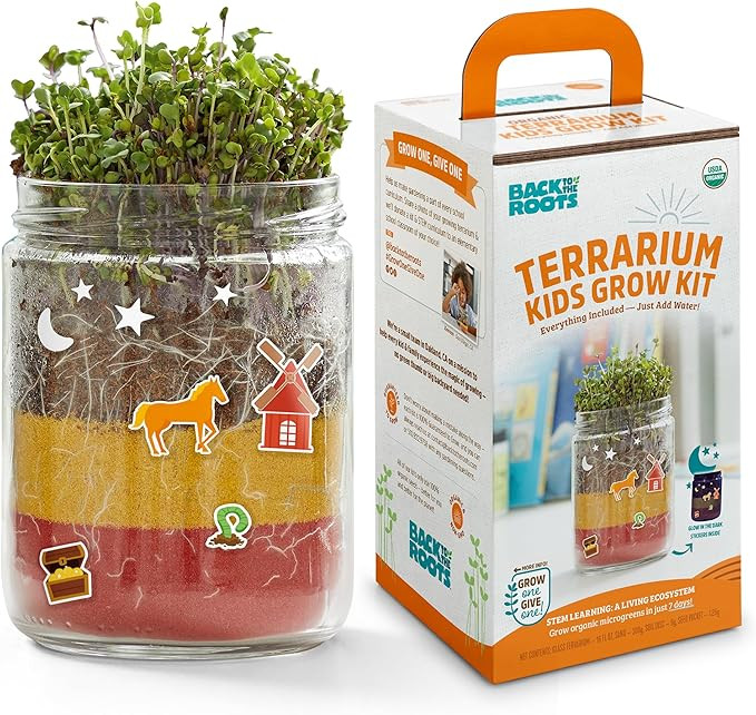 Back to the Roots Terrarium Grow Kit - Easy-to-Use DIY Set for All Ages Small | Amazon (US)