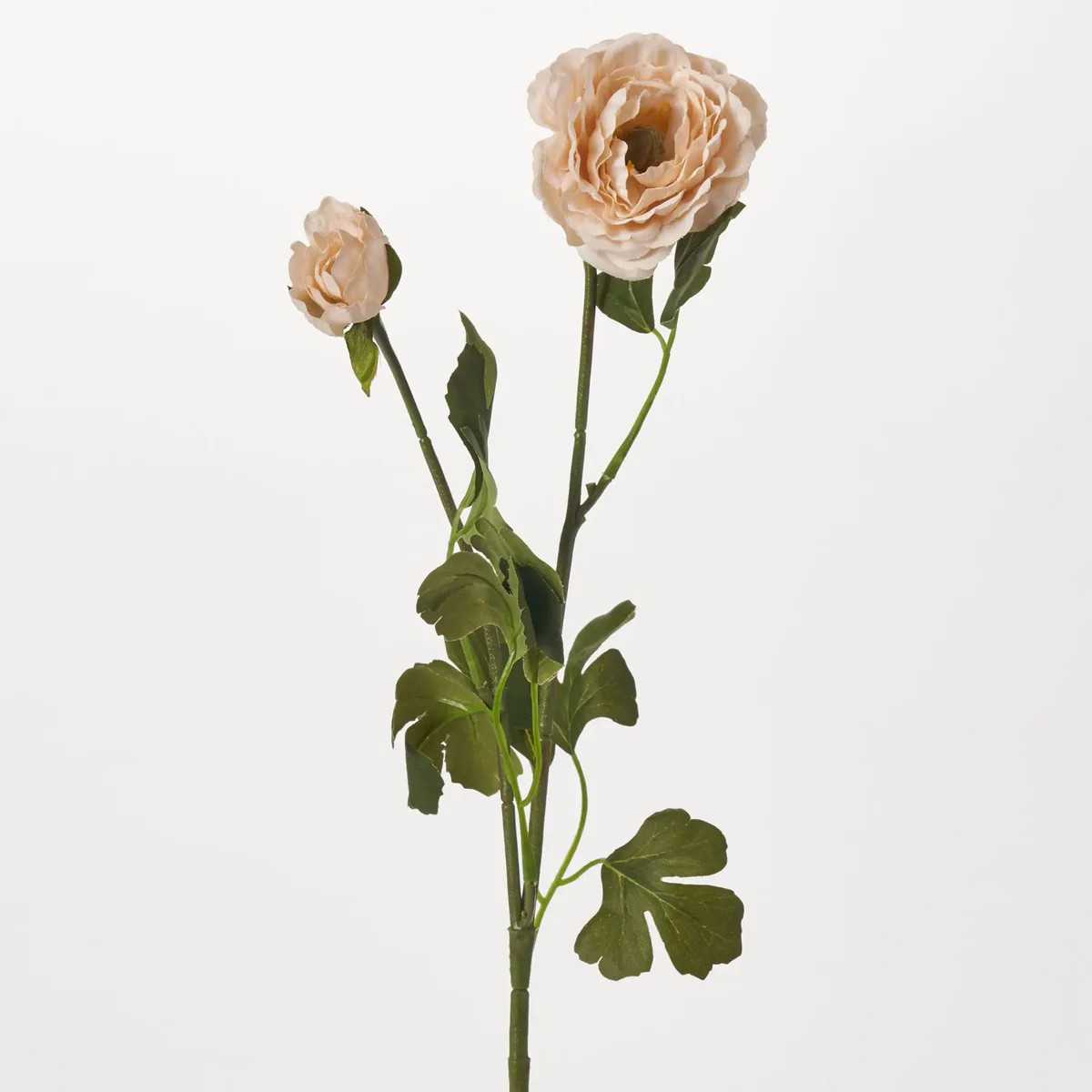 Vanilla Creme Linen Ranunculus Spray Bloom & Bud Faux Floral Stem - 26" | Darby Creek Trading