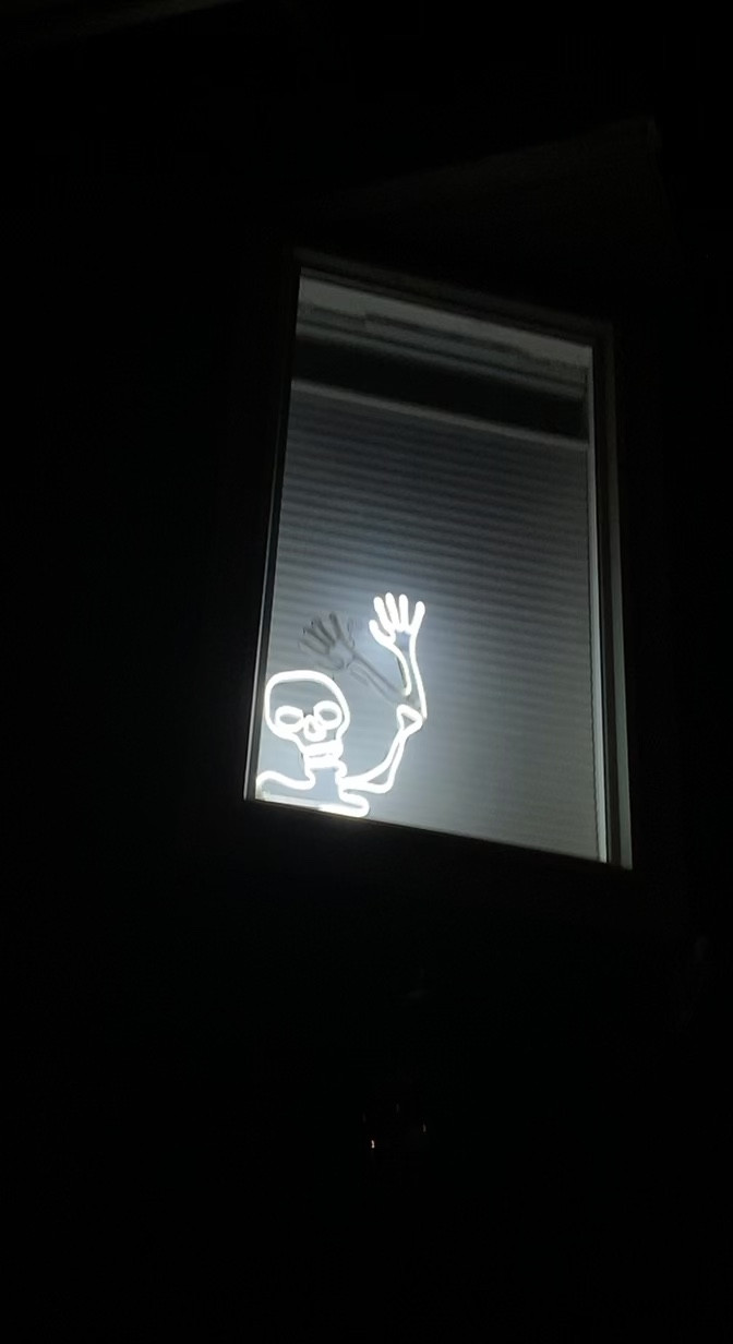 Spooky spooky skeletons #halloween #boo #spooky 

#LTKunder100 #LTKhome #LTKSeasonal