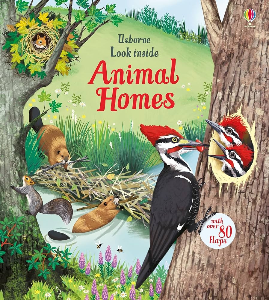 Look Inside Animal Homes | Amazon (US)