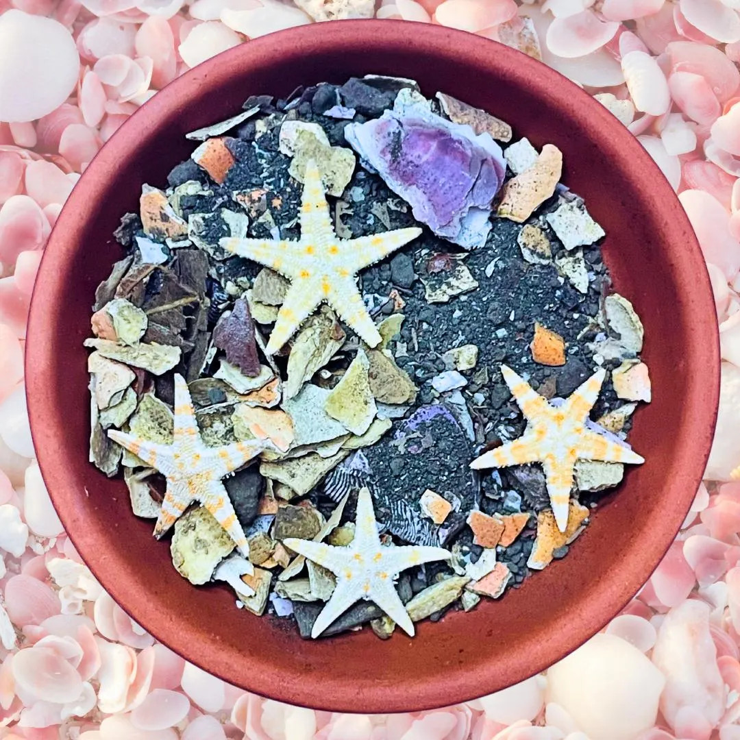 Hermit Crab Foraging Sand | Mineral Rich, Natural Ingredients - Etsy | Etsy (US)