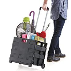 Inspired Living Ultra-Slim Rolling Collapsible Storage Pack-N-Roll Utility-carts, with Telescopic... | Amazon (US)