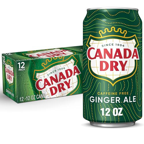 Canada Dry Ginger Ale Soda, 12 fl oz cans, 12 pack | Amazon (US)