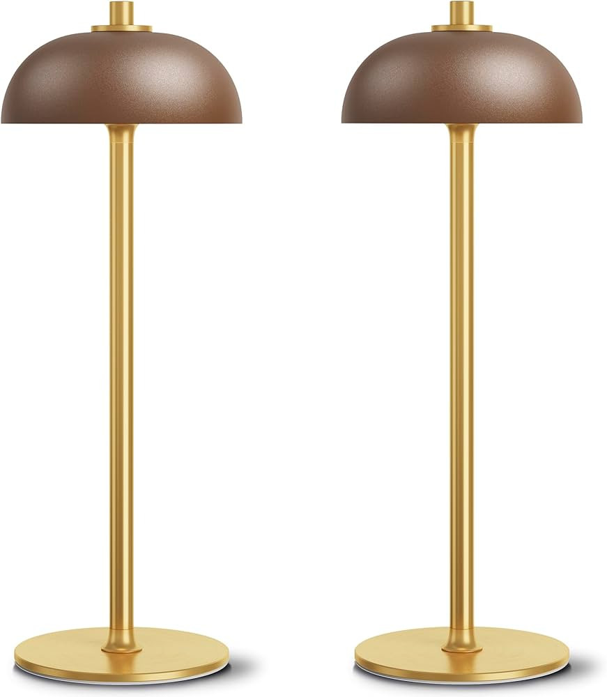 JONEMO 2 Pack LED Cordless Table Lamp Rechargeable,5000mAh Battery Operated Table Lamp, 3 Color S... | Amazon (US)