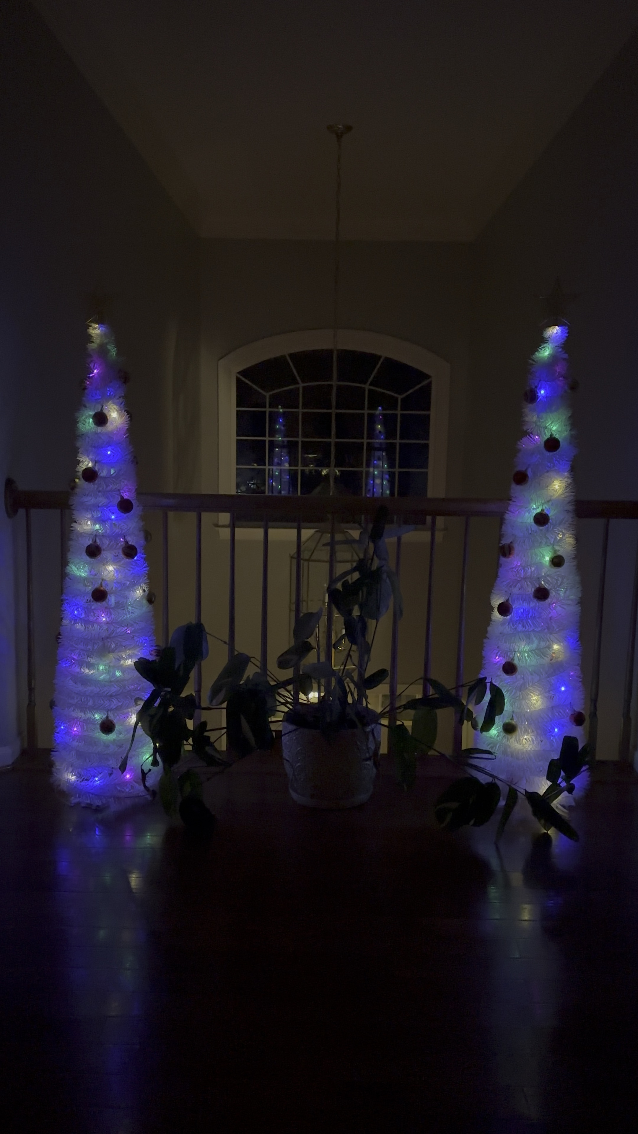 the lowest maintenance Christmas trees! 

#LTKSaleAlert #LTKHoliday #LTKSeasonal