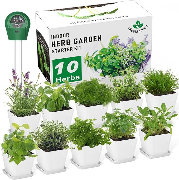 Herb Garden Kit Indoor Herb Starter Kit - 10 Variety Herbs with Complete Herb Growing Kit - Kitch... | Amazon (US)