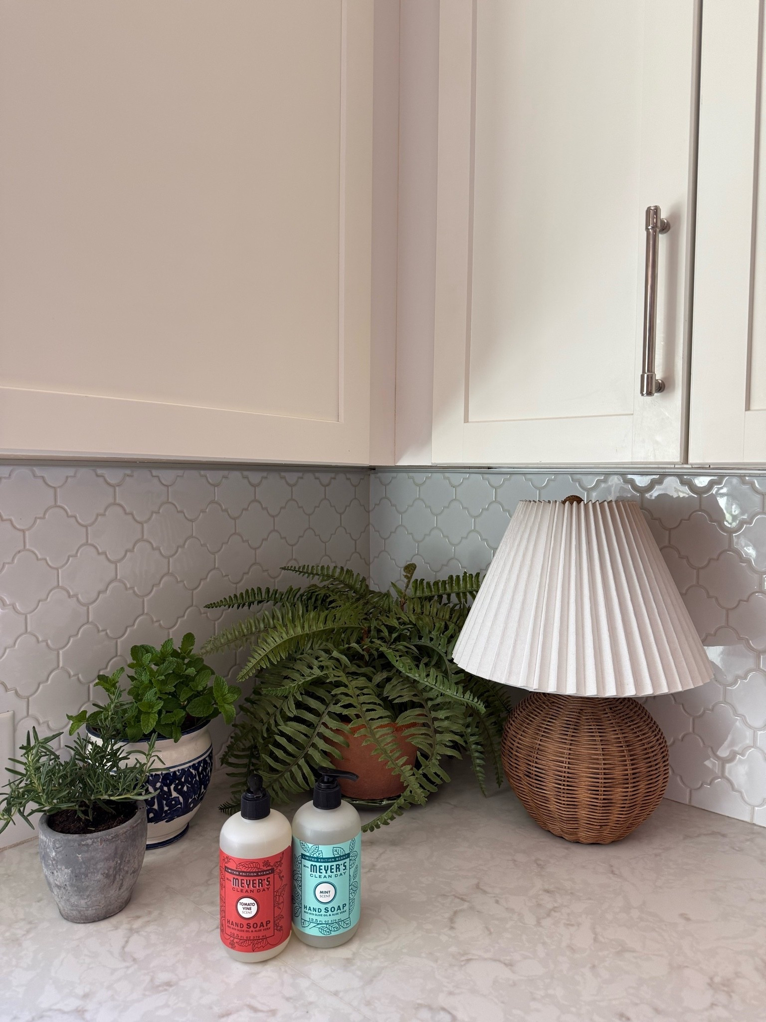 favorite seasonal hand soap for the kitchen

#LTKSeasonal #LTKHome