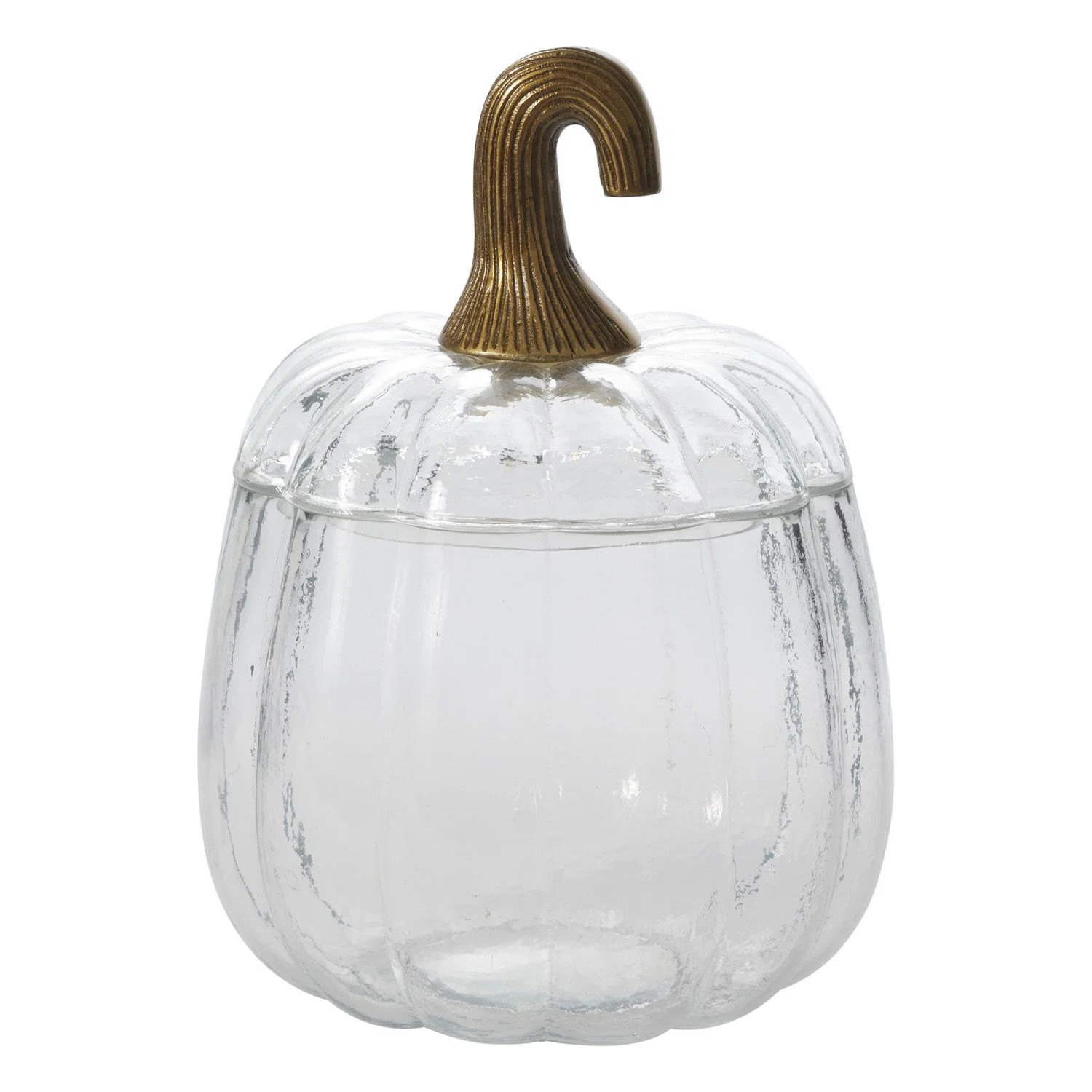Translucent Pumpkin Terrarium 8.75"X8.75"X12.75" | Birch Lane