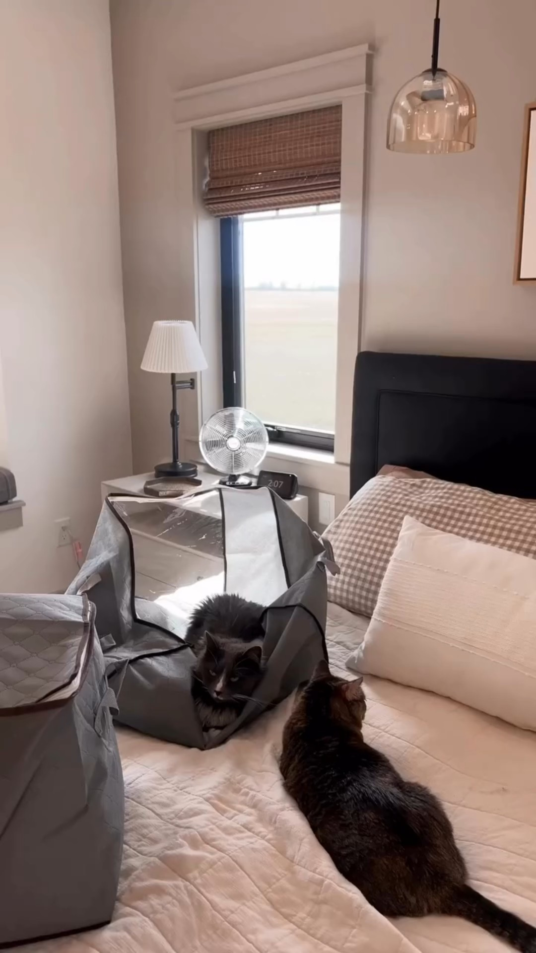 Top 2025 best sellers part 6!

#LTKHome #LTKHoliday #LTKFindsUnder50