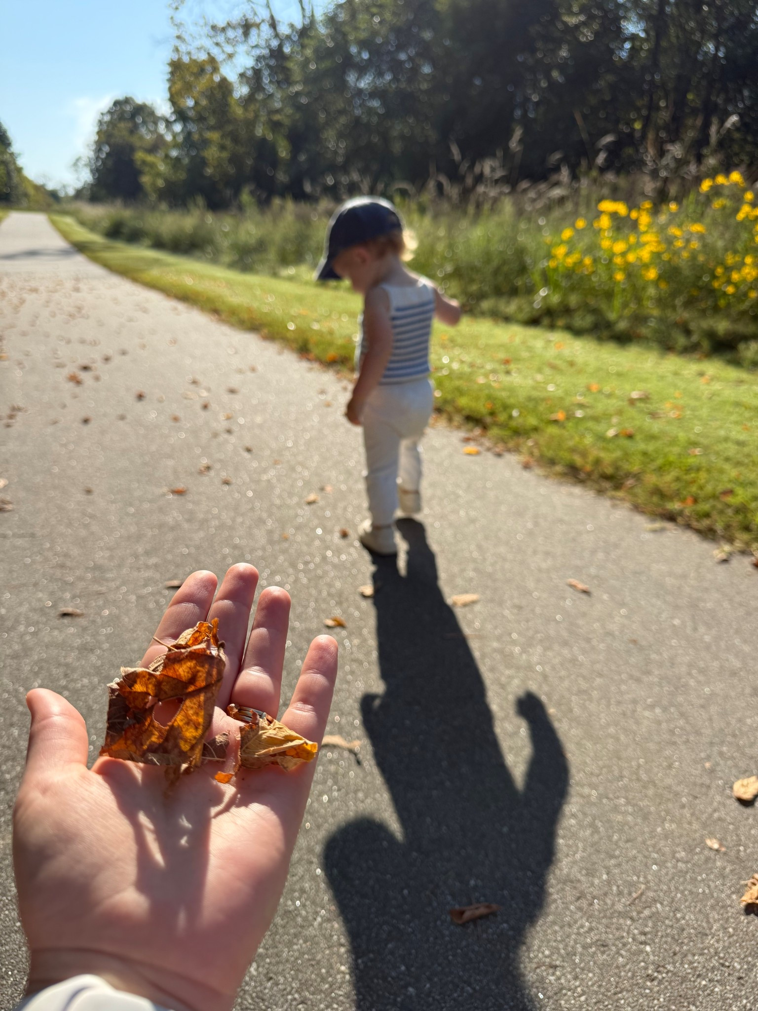 We love fall weather, but we’re still getting use out of our summer knitwear! 

#LTKKids #LTKFallSale #LTKFamily