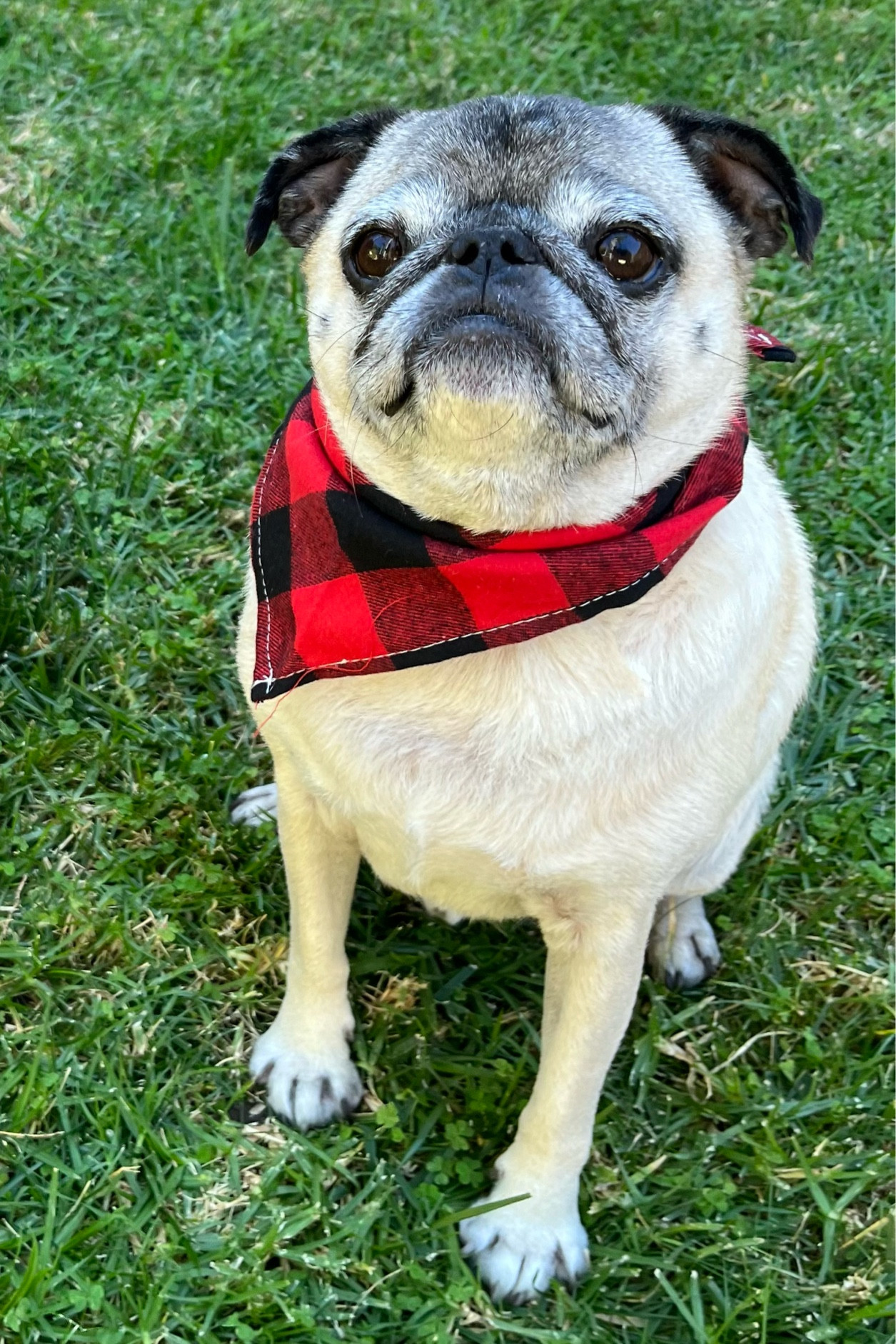 Handsome boy!❤️

#LTKfamily #LTKGiftGuide #LTKbaby