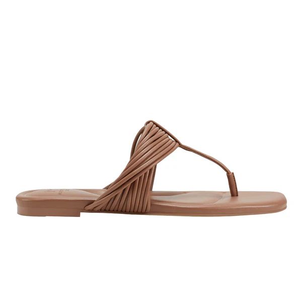 Tanya Flat Sandal | Marc Fisher